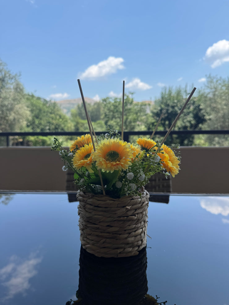 Profumatore alla citronella da esterno