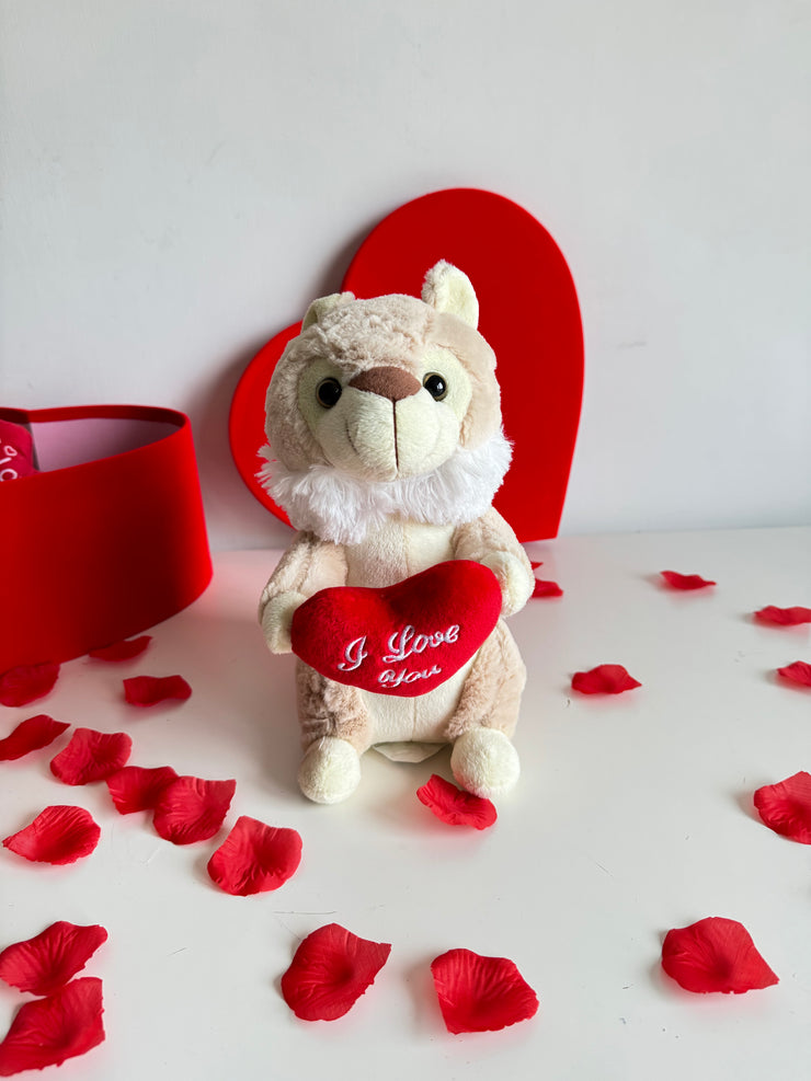 Peluche San Valentino