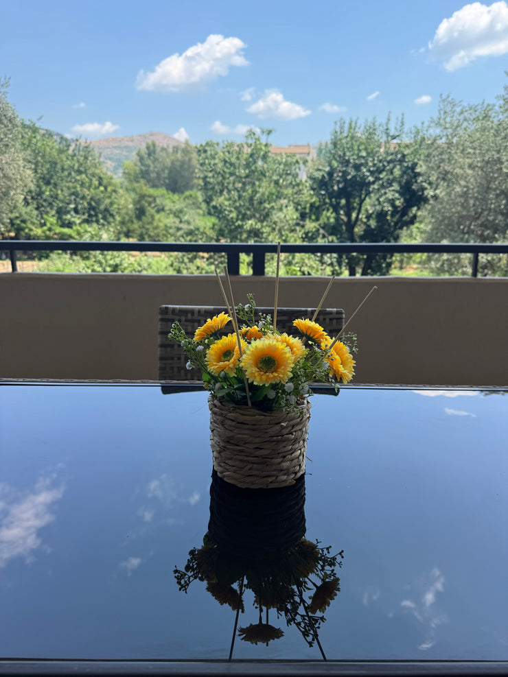 Profumatore alla citronella da esterno