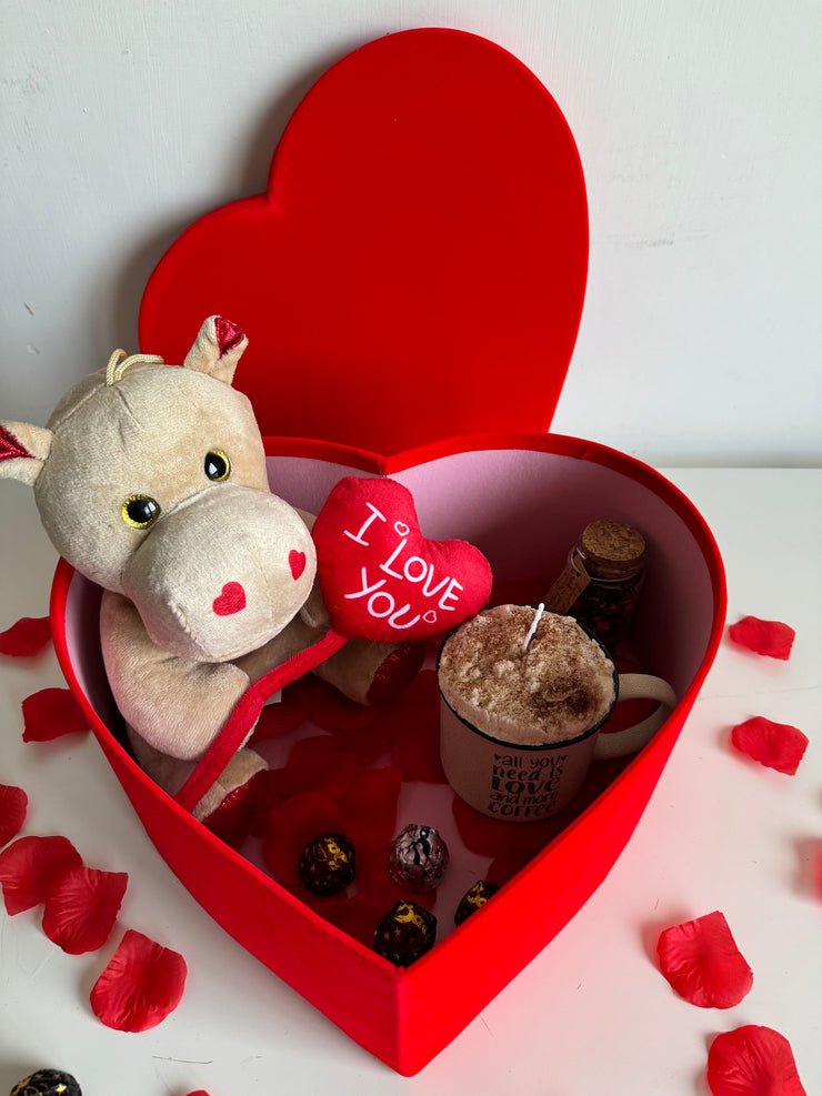 Peluche San Valentino