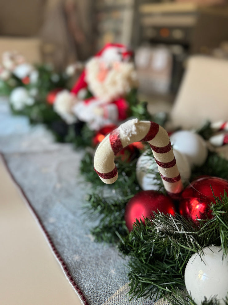 Tralcio con babbo Natale