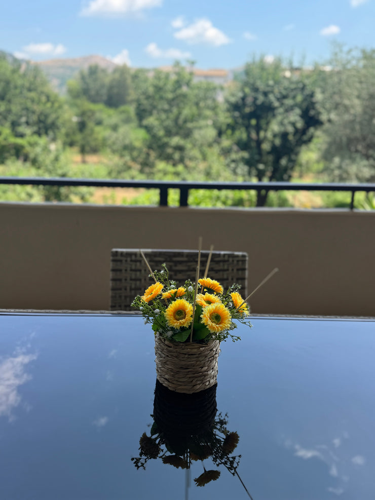 Profumatore alla citronella da esterno